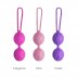Вагінальні кульки Adrien Lastic Geisha Lastic Balls Mini Pink (S)