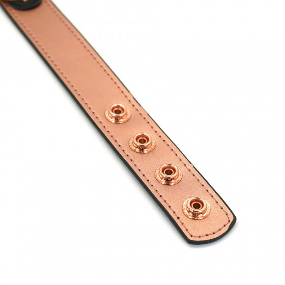 Нашийник із затискачами для сосків БДСМ Liebe Seele Rose Gold Memory Collar with Nipple Clamps