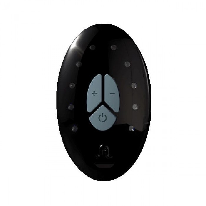 Запасний пульт дистанційного керування Adrien Lastic LRS (Lastic remote system) + cable