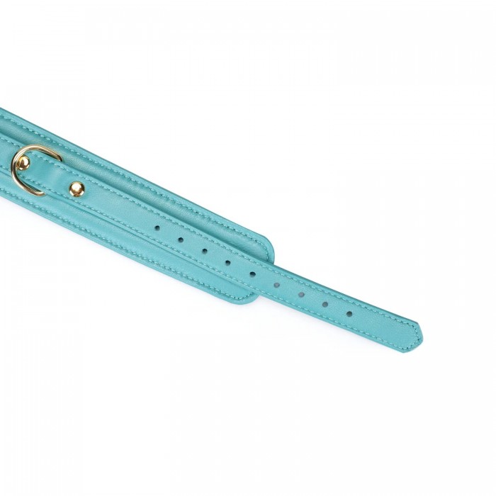 Ошейник с поводком для БДСМ Liebe Seele Blue Lamb Leather Collar with Velvet Lining